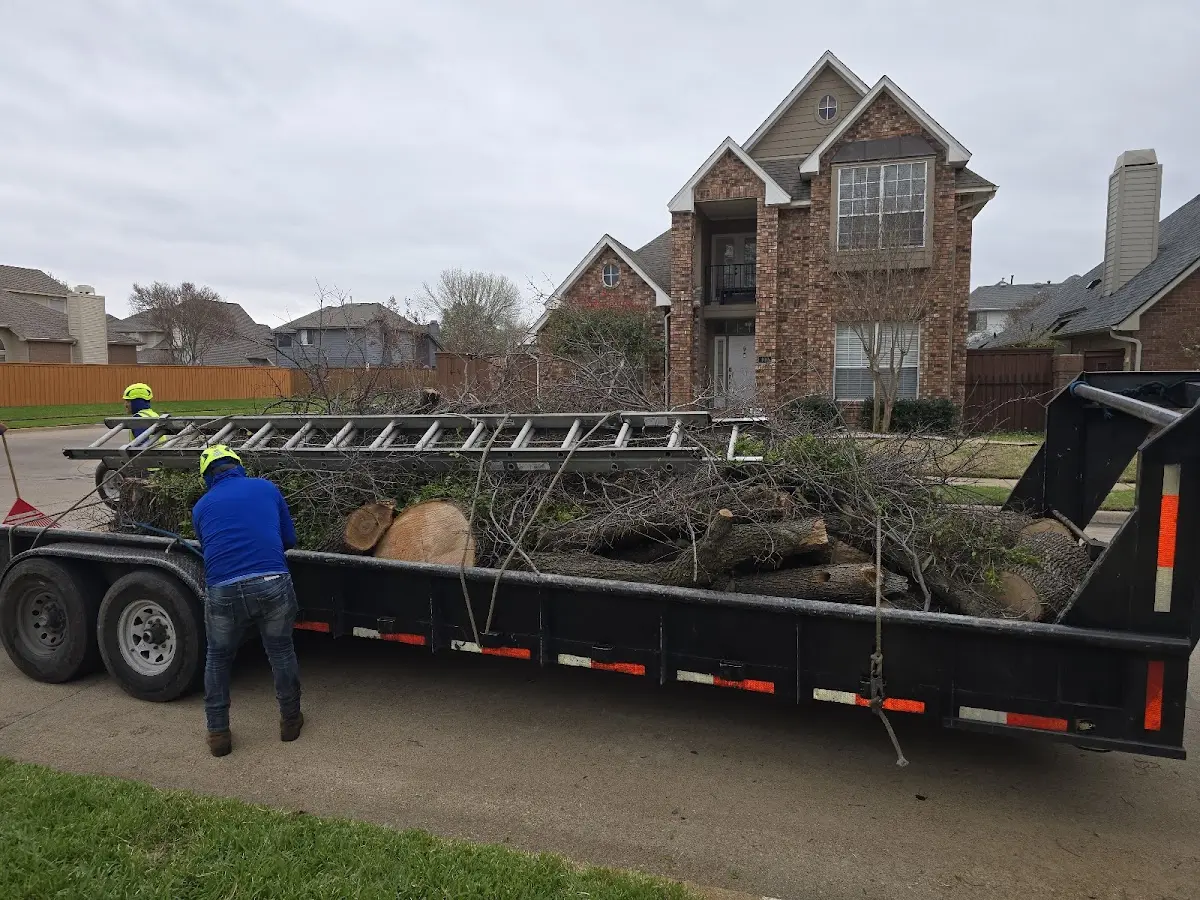 Expert Lot Clearing with proper safety equipment in Howe